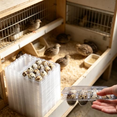 60Pcs Quail Egg Cartons,Square Dozen Egg Boxes 12 Grids Clear Plastic Quail Egg Cartons Stackable Trays for Quail Eggs, Pigeon Eggs, Small Poultry, for Home Fridge Storage, Farm, Market