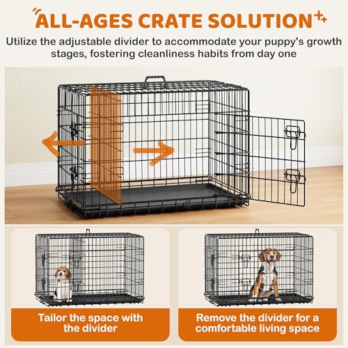 Yaheetech 36in Double Door Metal Dog Crate w/Divider for Puppy Indoor Use | Heavy-duty Sturdy Metal Frame, Easy Assemble, Fold Up for Travel, Removable Tray, Ideal for Puppies, Small to Medium Dogs - size: 36" L