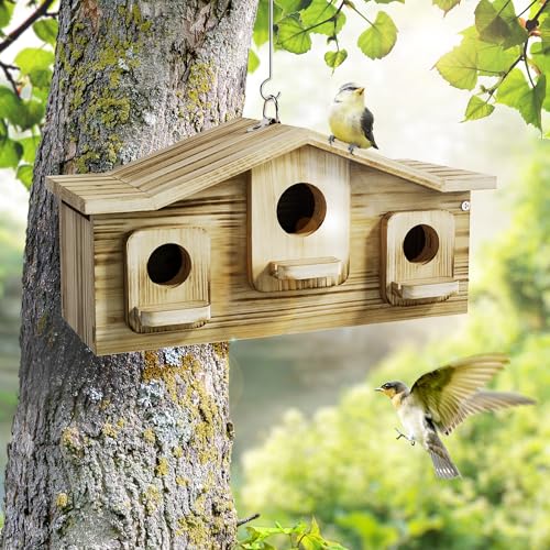 Auslar Bird House for Outside, 3 Hole Wooden Birdhouse for Outdoors Hanging | Bird Nesting Box for Bluebirds Cardinals Finches Wrens Swallows, Predator Guard, Perch & Hook, Garden Backyard Decor - style: Rectangular
