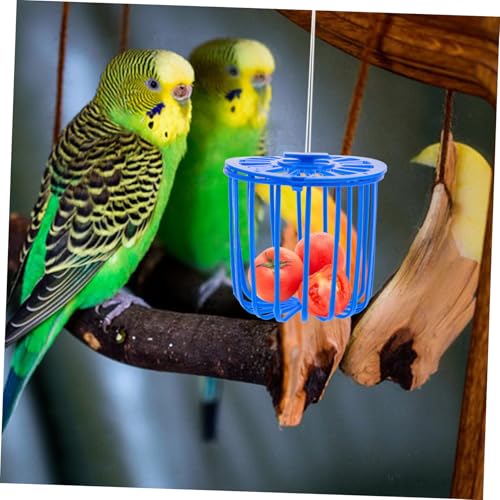 10pcs Lightweight Hanging Parrot Vegetable Feeder Basket for Bird Cages Clean Small Food Holder for Budgie Cockatiel Parakeet Wire Fruit Storage for Foraging and Feeding