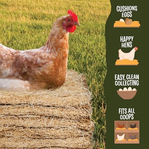 MagJo Aspen Nesting Pads for Chicken Coops - USA Grown Aspen Excelsior Nest Box Liners 13x13-80 Pack - size: 80 PACK