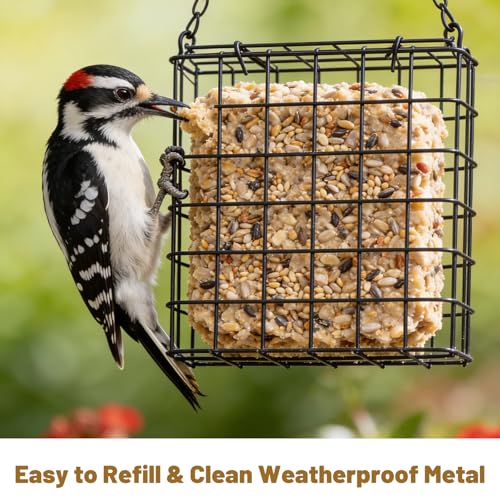 Suet Bird Feeders Outdoor, 6 Pack Hanging Wild Bird Feeder with Single Cake Capacity, Weatherproof Metal Suet Feeder for Garden Yard Decoration, Easy to Clean & Hang (Black)