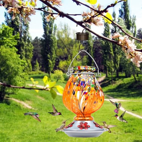 Hummingbird Feeders for Outdoors Hanging, Hand Blown, Orange, 22oz | Glass Hummingbird Feeder with Ant Moat, 5 Bee-Proof Ports, Leak-Proof, 360° Perch, Garden Decor, Gifts for Women Men Mom Dad - color: Orange
