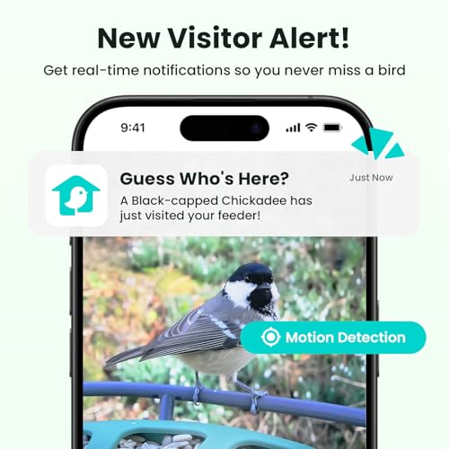 2 Smart Bird Feeder with Camera, AI Identifies Bird Species, Dual-Lens 2K Camera for Live Streaming & Close-Up Photos, Solar-Powered Backyard Birdwatching Gift
