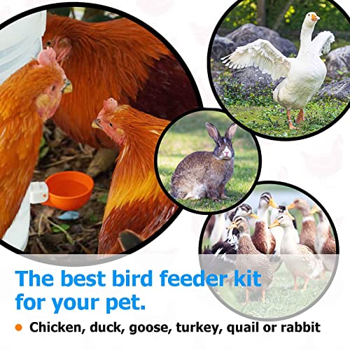 Chicken Water Cups Auto-Fill, Heavy Duty Poultry Waterer Cups -2Pack Orange - color: Orange, size: Pack of 2