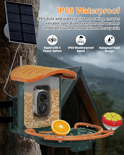 Bird Feeder with Camera, 2K HD Camera Birds Feeder with AI Bird Recognition, Solar Powered Smart Birdfeeder with Bath, App Control, Color Night Vision, Gift Box Package, Easy Install - color: Dark Green, size: Bath