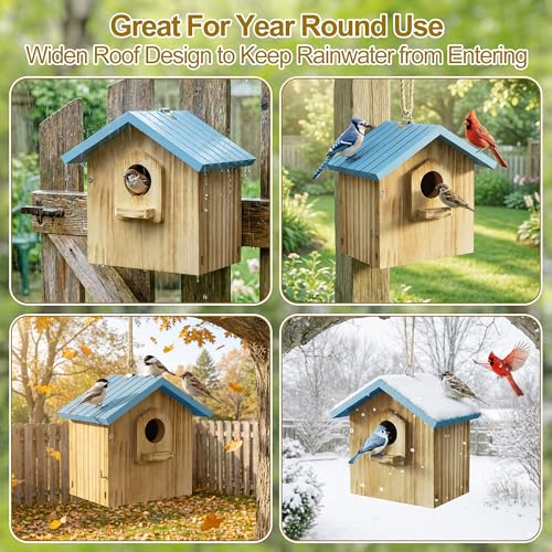 Auslar Bird House for Outside, Wooden Hanging Bird Nesting Box with Perch | Outdoor Birdhouse for Bluebird, Cardinal, Finch, Wren & Swallow, Hook, Predator Guard, Clean-out Door, Garden Bird Watching