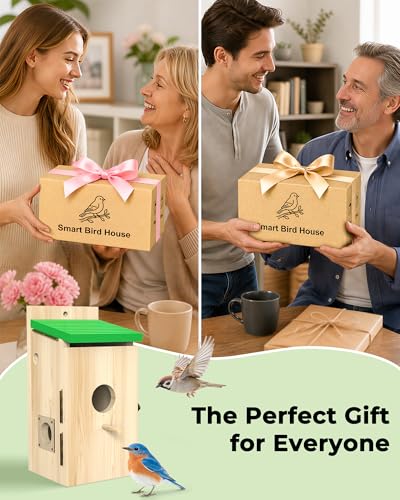 Bird House with Camera,Solar Smart Birdhouse with Camera Inside | Motion Detect & Night Vision,App Control,Wi-Fi Bird Watching for Backyard Nesting,Bird House for Outside with Camera,Green - color: Light Green