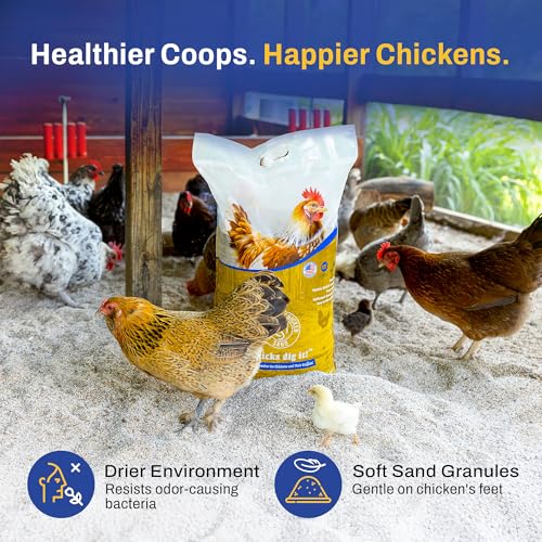 Premium Chicken Sand 50 lbs (2-Pack) – Dust-Free, Odor-Control Bedding for Chicken Coops, Nesting Boxes, and Runs – Natural Poultry Litter, 100 lbs Total - size: 2 Pack