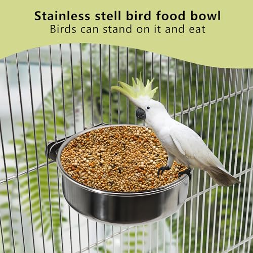 Large Bird Feeding Dish Cups with Clamp Holder, 1 Pack | Stainless Steel, Parrot Food Bowl Cage, For Cockatiel Parakeet Macaw Finches Lovebirds, Birdcage Coop Water Feeder - color: 1 Pack, size: Large