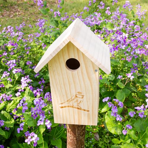 Wooden Bird Houses for Outside Hanging, Decorative Outdoor Clearence Birdhouse for Bluebird, Wren, Chickadee, Natural Wood & Colorful Roof, Ventilation