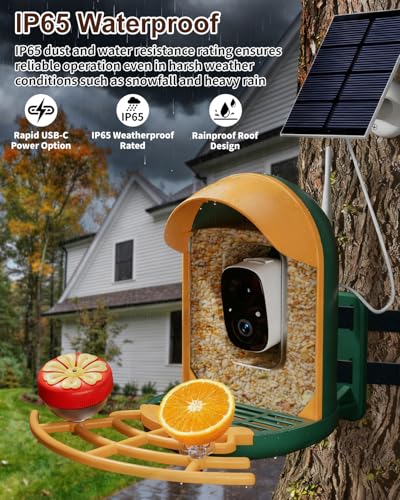 Smart Bird Feeder with Camera, Solar Powered, 2K HD, Night Vision | Watch birds in stunning 2K, receive app alerts, enjoy wireless setup, solar charging and reliable IP66 outdoor durability - color: Green, size: With Stand