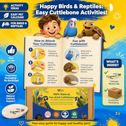 Birds LOVE 5.5-6″ Cuttlebone for Birds – 100% Natural Sun-Dried Calcium & Beak Conditioning Supplement for Parakeets, Budgies, Cockatiels, Finches & Canaries – 3 Pack with Holder – Made in Vietnam - size: 3 Count (Pack of 1)