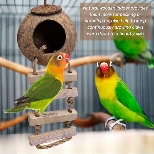 PINVNBY Coconut Bird Nest Hut with Ladder, Coconut Bird Hideout Lovebird House Hanging Toy for Budgies Parakeet Cockatiels Conure Canary Finch Pigeon (with Natural Coconut Fiber)