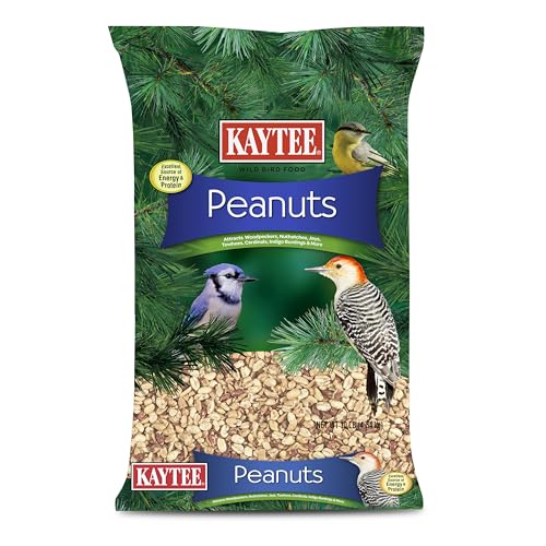 Kaytee Peanuts Wild Bird Food, High in Fat and Protein | Attract birds year-round. Bird food for outside feeders with peanut pieces. No hulls, 100% edible, nuts for birds - size: 10 Pound (Pack of 1)
