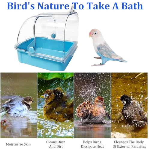 Tfwadmx Bird Cage Bath Hanging Bird Bath Supplies Parrot Bath Tub Water Shower Food Feeder Holder Tray for Small Birds Canary Budgies Cockatiel Lovebirds(Blue) - color: Blue