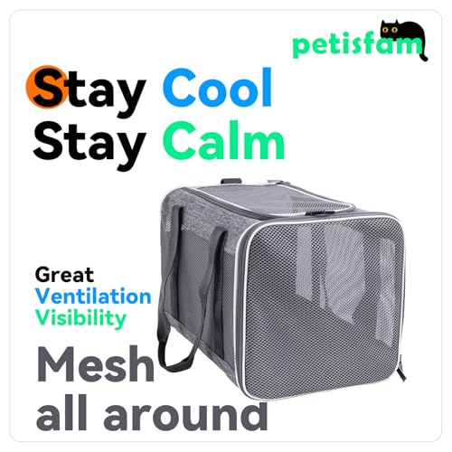 Soft Pet Carrier Bag for Cats and Puppy Under 20 lbs. Sturdy, Safe, Comfortable and Lightweight | Top Opening, Quik-in. Zip-to-Lock. Stress-Free Vet Visits. Cats Can't Resist. Easy Storage, Cleaning. Lightweight. Breathable - color: Grey