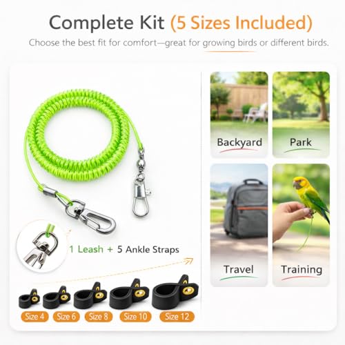 Parrot Bird Harness Leash Anti-bite Outdoor Flying Training Rope with 5pcs Different Sizes of Soft Foot Loops and Training Whistle(Upgraded Version of Ankle Ring)