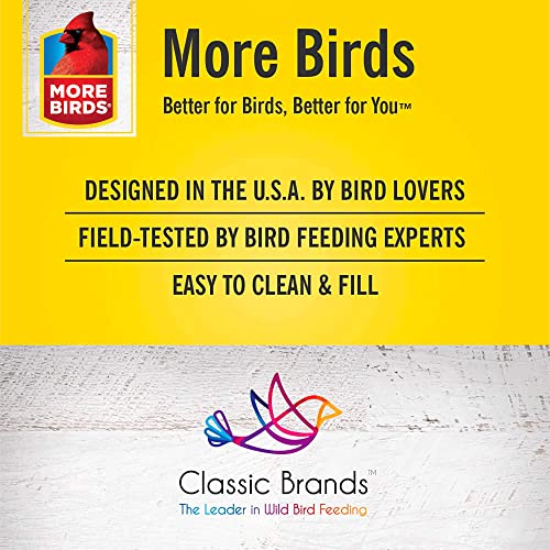 More Birds Suet Cage Bird Feeder, Fruit and Suet Feeder, Single Cake Capacity,Black (Pack of 6) - color: Black, size: Single Cake (Pack of 6), style: Suet Cage
