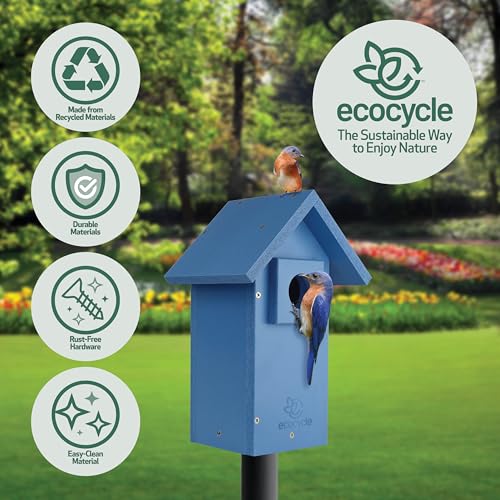 Bluebird Bungalow Recycled Plastic Bird House with Predator Guard and Clean-Out Door, Wild Bird House and Outdoor Décor, Blue