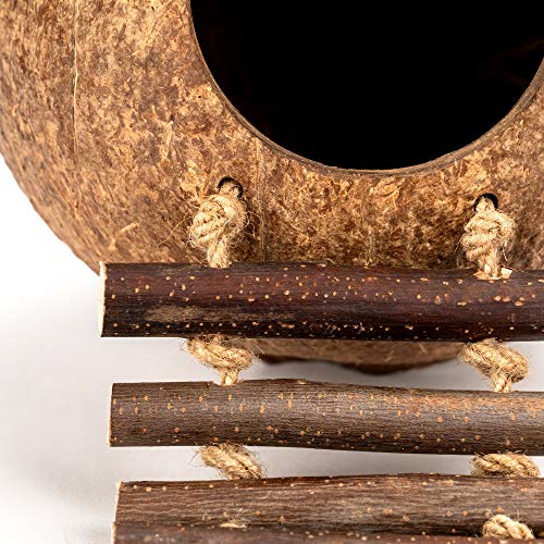 andwe Coconut Bird Nest Hut with Ladder | fits for Parrots Parakeet Conures Cockatiel Small Animals House Pet Cage Habitat