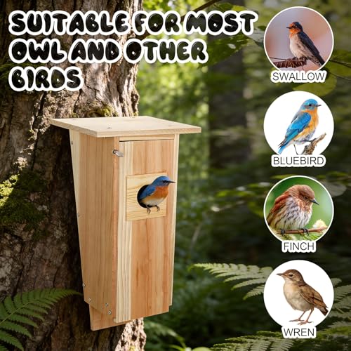 Kathfly 16 Inch Cedar Bluebird Box Houses for Outside Entrance Hole Big Wood Bird Houses Wall Mounted with Metal Secure Latch Air Vents for Bluebirds Titmice Chickadees Wren Swallow Nesting