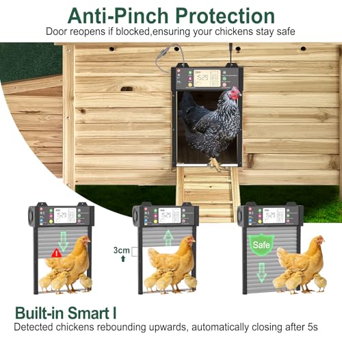 Automatic Chicken Coop Door, Smart TUYA APP Controlled, WiFi Enabled, Door Status Detection, Solar Powered, Anti Pinch, Auto Chicken Door with Timer & Light Sensor, LCD Display, 5 Modes