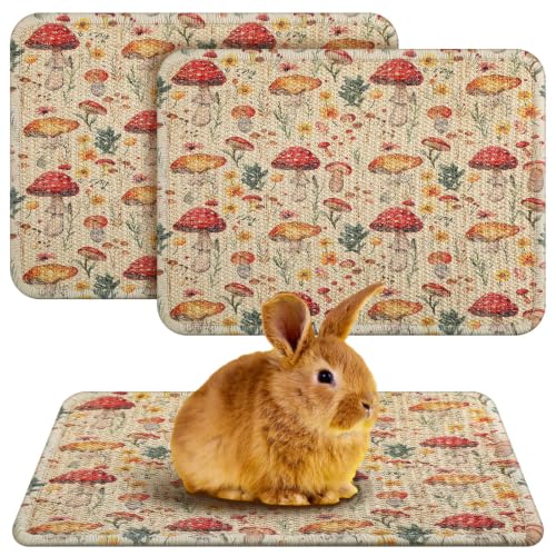 2 Pcs Rabbit Scratch Mats Natural Sisal Bunny Scratch Pads Claws and Teeth Care Rabbit Scratching Mats for Bunny Pet Small Animal Biting Sleeping Nesting Chew Play Toys