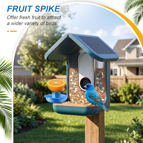 3 in 1 Nutrition Set, Compatible with Bird Buddy Feeders, Outdoor Bird House Accessories with Water Fountain, Fruit Spike & Jelly Tray Feeder, Easy to Attach
