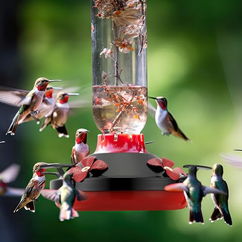 3 Pack Hummingbird Feeder Replacement Parts, Metal Top Cover with 4 Perches & 4 Flower Ports, Includes 3 Cleaning Brushes, No Feeder Bottom Base Included(Black) - color: Black