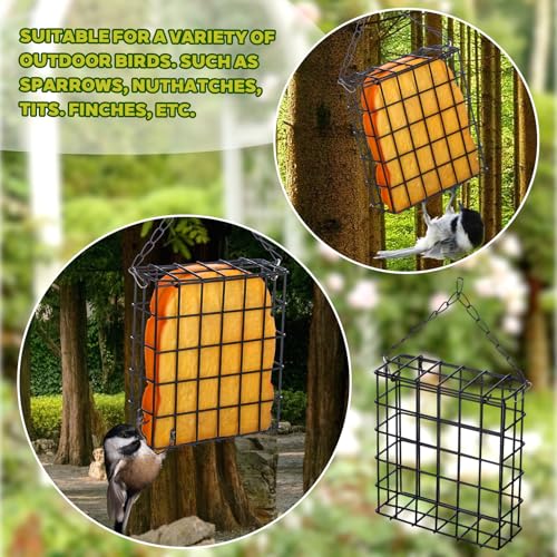 6 Pack Suet Bird Feeders, Outdoor Hanging Metal Cage for Wild Birds, Single Suet Cake Capacity, Garden and Yard Decor