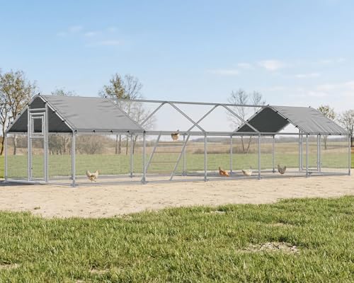 32x10 FT Extra Large Walk-in Chicken Coop with Spire Roof Cover | Front and rear doors, feeding door, roosting ladder and galvanized frame support easier daily poultry care - size: 372.4"L x 118.1"W x 77.6"H