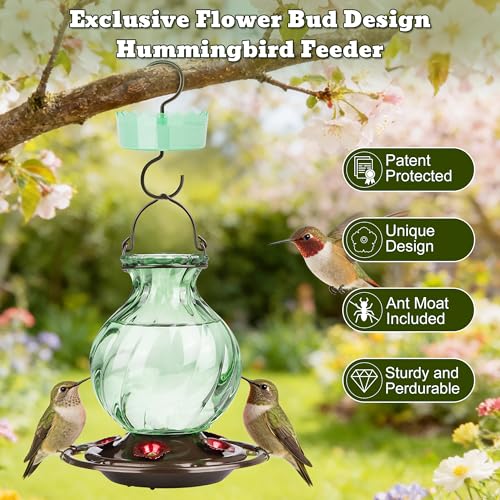 Auslar Glass Hummingbird Feeders for Outdoors Hanging, Green, 26 Oz | Hummingbird Feeder with Ant Proof Moat, 5 Bee Proof Feeding Ports, 360°Perch, Leak-proof, Outside Garden Backyard Decor - color: Green