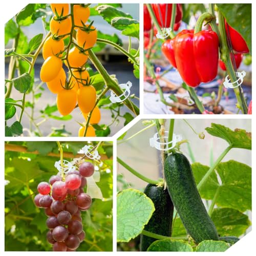 200 Pcs Plant Support Garden Clips, Tomato Clips, Crop Clips for Vine Vegetables, Fixing Tomato, Sweet Pepper, Eggplant, Makes Plants Grow Upright and Healthier - color: White