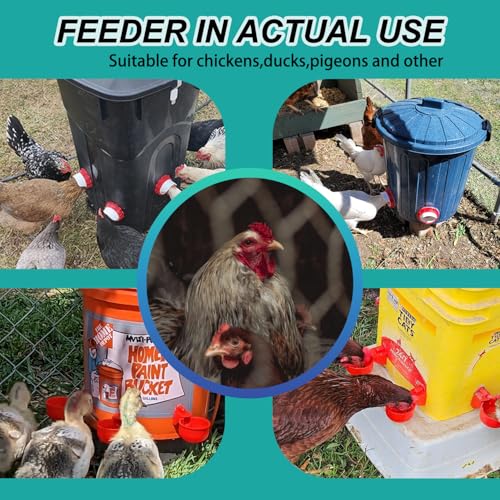 6-Port DIY Chicken Feeder and Waterer Kit, No-Waste Automatic Gravity Poultry Feeder-Spill-Proof, Rain-Proof Design for Buckets, Barrels, Bins, Troughs
