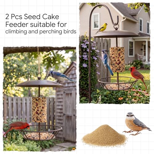 2 Pcs Cylinder Bird Feeder Outdoor Seed Cake Feeder Metal Suet Cake Holder Backyard Wild Birdfeeding Bird Feeders for Outdoors Garden(Brown) - color: Brown