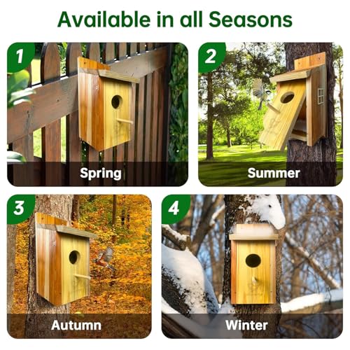 Large Bird House, Bird Houses for Outside Clearance, Cedar Birdhouses for Outdoors, Wood Birdhouse with Secure Latch, Bluebird Houses for Wren Swallow Finch Hummingbird
