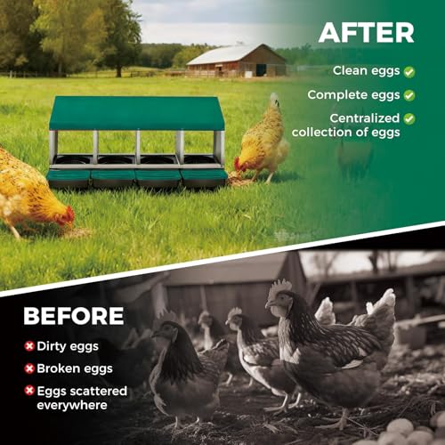 Garvee 4-Hole Rollaway Chicken Nesting Box for Hens –Chicken Nest Box with Removable Trays, Easy Egg Collection & Cleaning, Wall Mount or Freestanding, Sturdy Chicken Laying Boxes, Green - color: Green-4 Hole