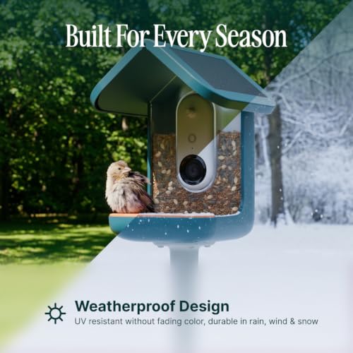 Birdbuddy Pro Solar Smart Bird Feeder with Camera, AI Bird ID, 2K Video | 2K video quality, 5MP Photos, 1/2.7” sensor with excellent low-light performance, High Dynamic Range (HDR)