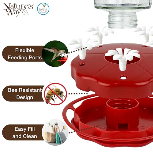 Nature's Way Hanging Glass Hummingbird Feeder for Outdoor Décor, 20 Ounce Capacity Nectar Feeder, Ant Moat, 5 Easy to Clean Flexible Ports, Red - style: 20 Ounce Capacity