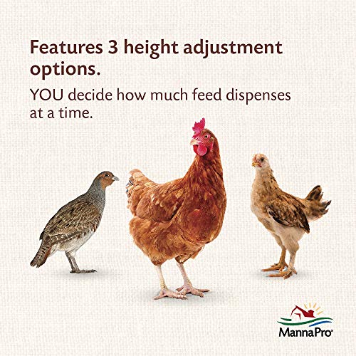 Harris Farms 1000293 Galvanized Hanging Poultry Feeder, 15 lbs, Metal - size: 15 lb