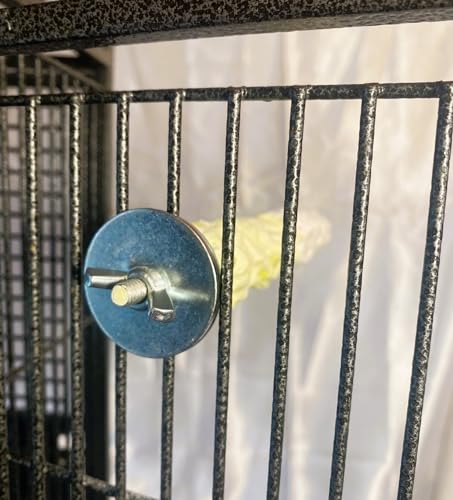 Polly's Edible Cuttlebone Calcium Bird Cage Perch for Budgies, Parakeets, Amazons, Blue & Golds, Macaws and Cockatoos.… (Pineapple, Medium) - color: Pineapple, size: Medium