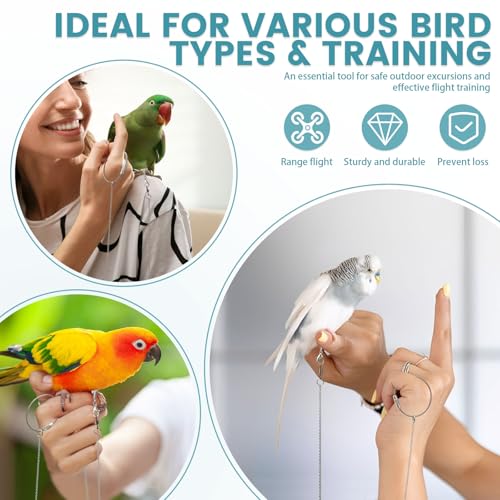 LELE LIFE 2 Pack 39in Bird Leash with 5 Sizes Ankle Rings, Stainless Steel Anti-Bite Parrot Bird Harness Flying Toy Training Chain Leg Rope Outdoor Parrot Alloy Foot Ring