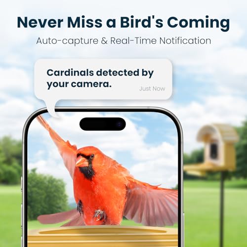 Smart Bird Feeder with Camera, Yellow | 2.5K UHD, AI Bird Species Identification, Solar Powered, 2.4G WiFi, IP66 Waterproof Outdoor, Instant Alerts, Gift - color: Yellow