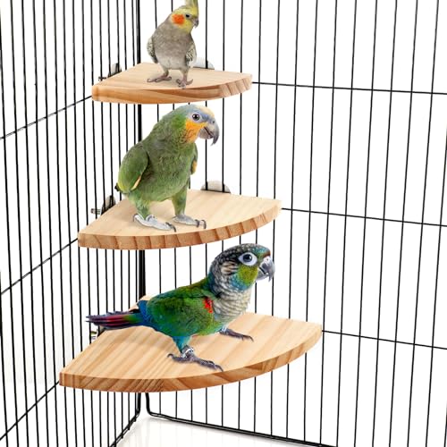 Wettarn 6 Pcs Bird Perch Platform Bird Corner Parrot Perch Corner Wooden Stand Sector Playground Cage Accessories Shelf for Parakeet Conure Cockatiel Budgie Gerbil Rat (Assorted Sizes,Platform) - color: Beige, size: 7.1 x 7.1 inches