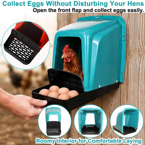 Chicken Nesting Boxes Chicken Laying Boxes with Egg Roll Out Nesting Boxes for Chickens Coop Nest Box Large, Easy to Install, Waterproof and Durable (Green, 6 Pack) - color: Green, size: 6 Pack