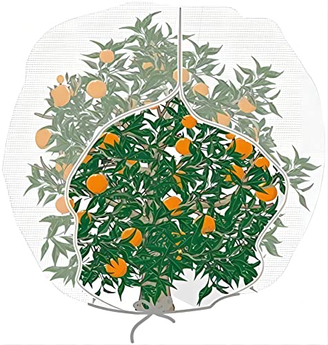 Agfabric Bird Netting 84" Hx72 W Garden Netting Insect Pest Barrier,Plant Cover Fruit Tree Netting Mesh Protection Bag with Zipper,White - size: 84"x72"