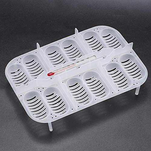 Reptile Breeding Box, Plastic Reptile Egg Incubators Hatchery Box with Transparent Lid for Hatching, Lizards, Lions Mane, Reptiles