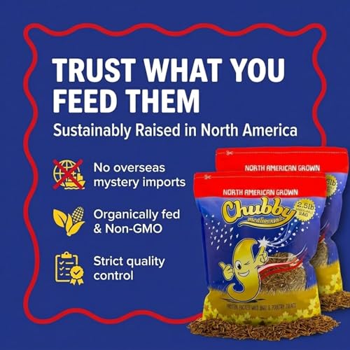Chubby North American Grown Dried Mealworms | 7.5 lbs | Non-GMO High-Protein Treats for Chickens, Ducks & Wild Birds – Sustainable Chicken Feed - size: 7.5 Pound (Pack of 3)