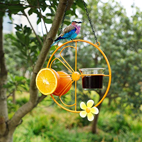 FORUP Oriole Bird Feeder for Outdoors Jelly and Oranges, Orange Fruit Oriole Jelly Bird Feeder, Outdoor Garden Metal Hanging Drinking Grape Jelly Container Hummingbird Feeder, Two Pack